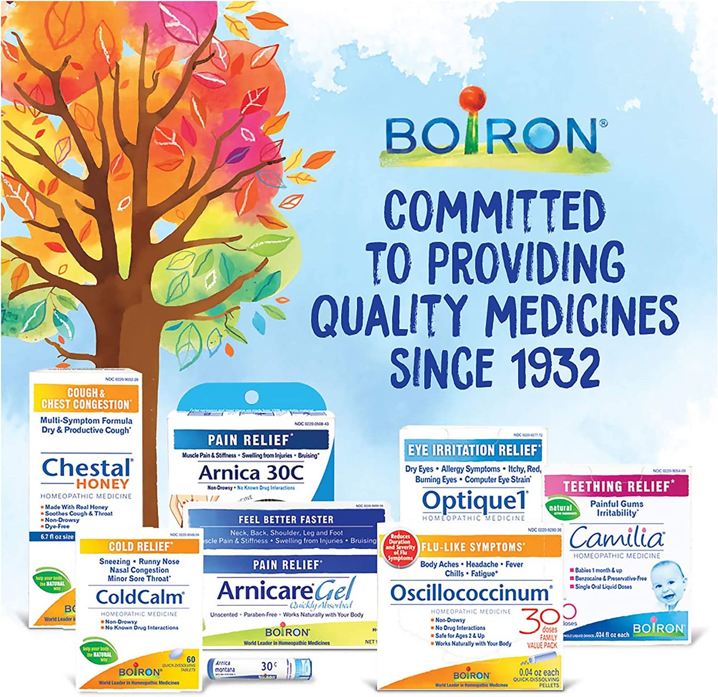 Boiron Arnica Montana 200Ck Homeopathic Medicine for Muscle Pain and Stiffness - 3 Count (Pack of 1) (240 Pellets)