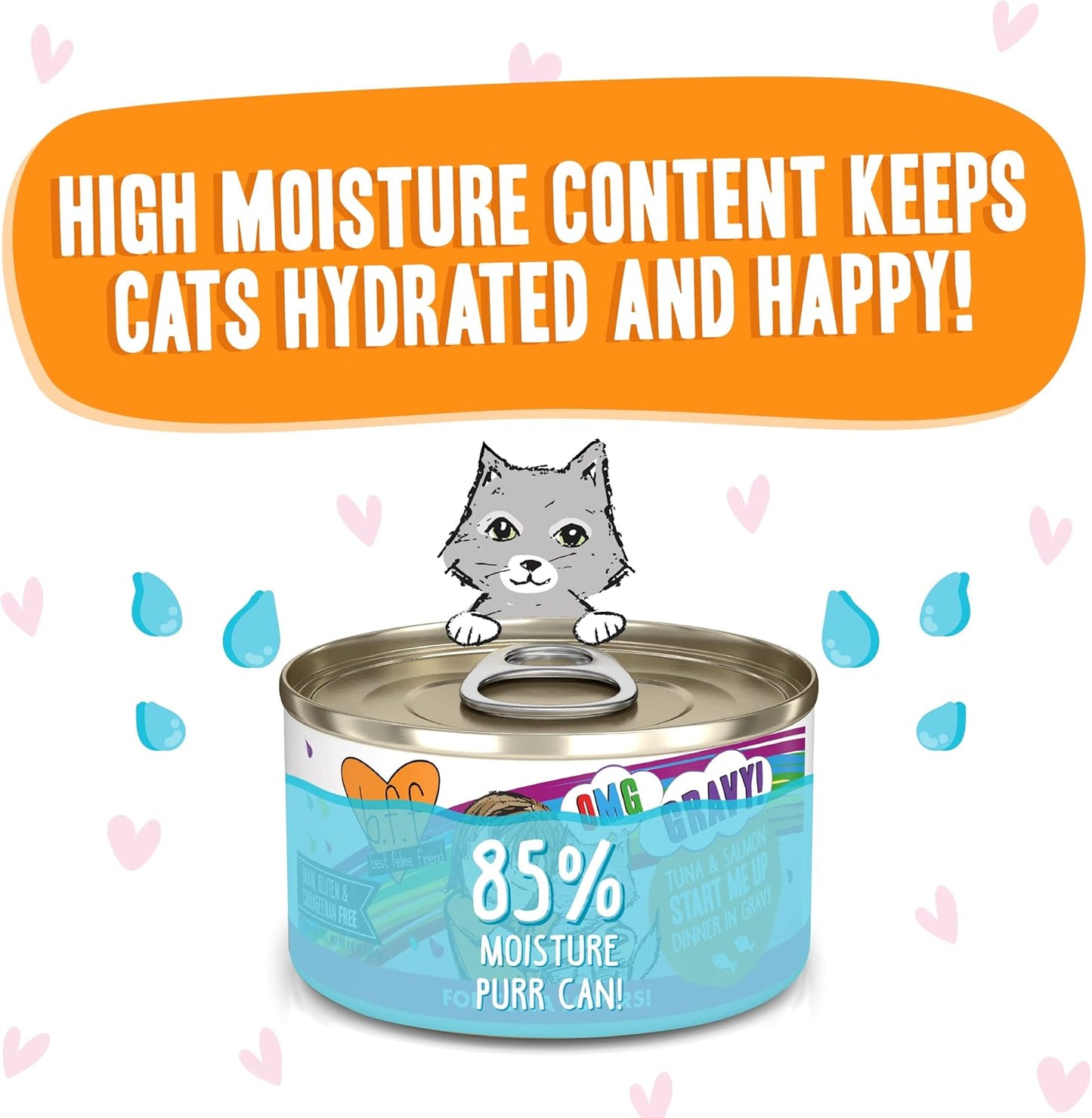 Weruva B.F.F. OMG - Best Feline Friend Oh My Gravy!, Tuna & Salmon Start Me up with Tuna & Salmon, 2.8Oz Can (Pack of 12)