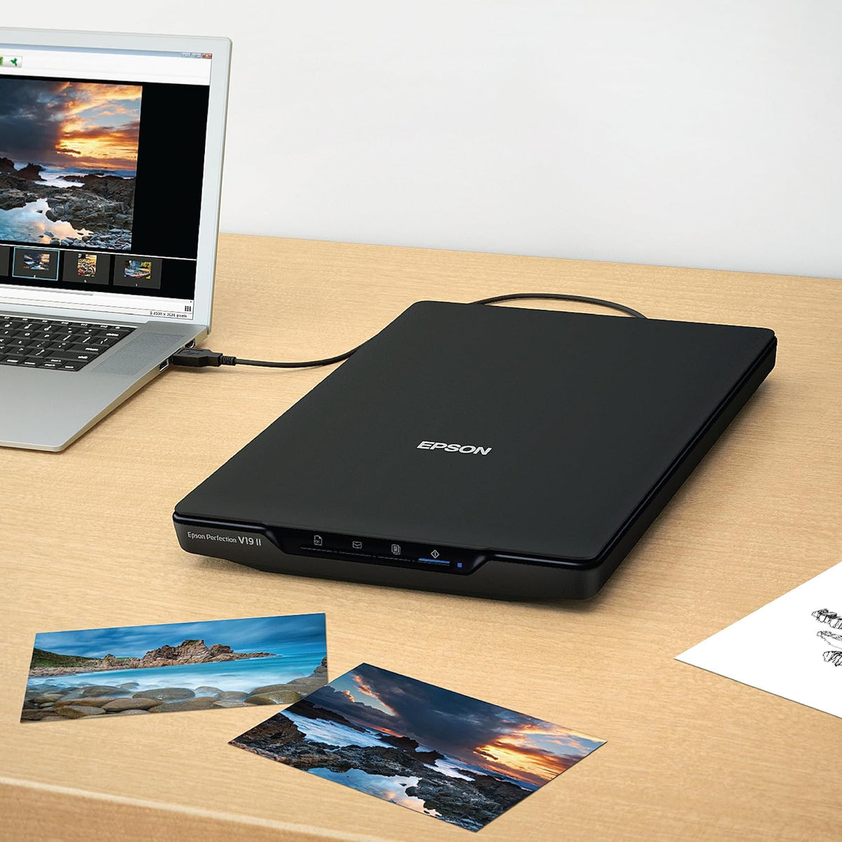 Epson Perfection V19 II Color Photo and Document Flatbed Scanner with 4800 Dpi Optical Resolution, USB Power and High-Rise, Removable Lid (Renewed)