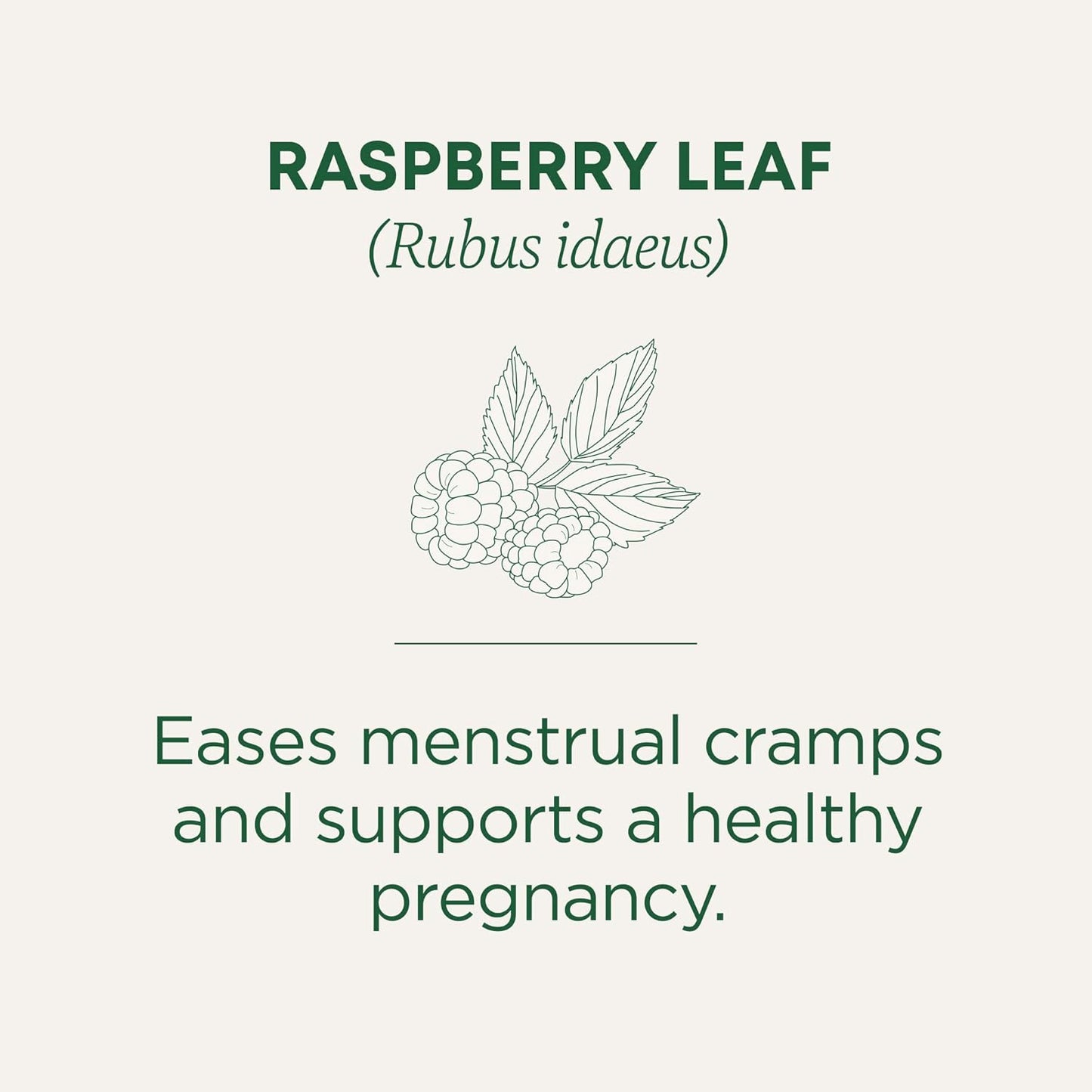 Traditional Medicinals Organic Raspberry Leaf Herbal Tea, Eases Menstrual Cramps & Supports Healthy Pregnancy, (Pack of 1) - 16 Tea Bags