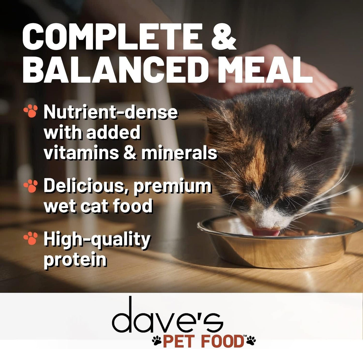 Dave'S Pet Food Grain Free Wet Cat Food (Chicken), Made in USA Naturally Healthy Canned Cat Food, Added Vitamins & Minerals, Wheat & Gluten-Free, 12.5 Oz Cans (Case of 12)