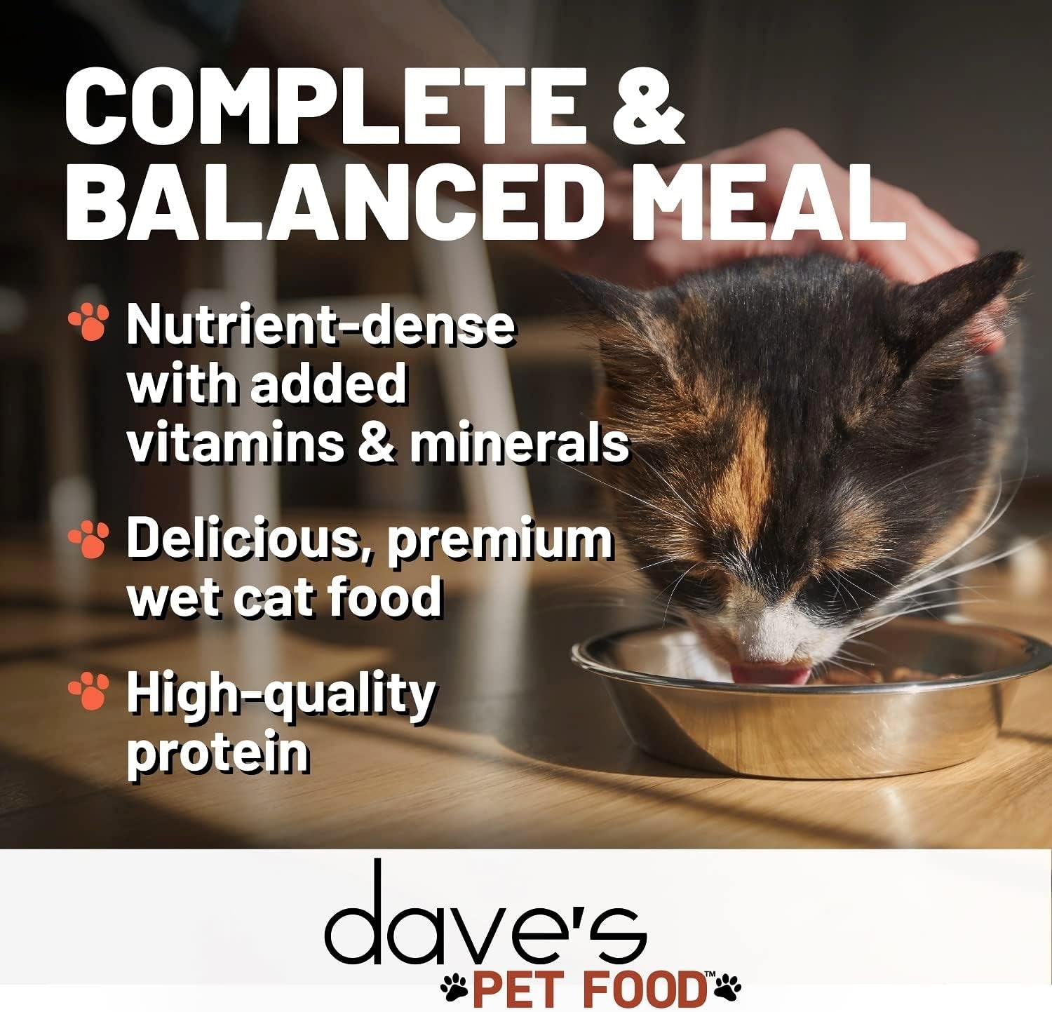 Dave'S Pet Food Grain Free Wet Cat Food (Chicken), Made in USA Naturally Healthy Canned Cat Food, Added Vitamins & Minerals, Wheat & Gluten-Free, 12.5 Oz Cans (Case of 12)