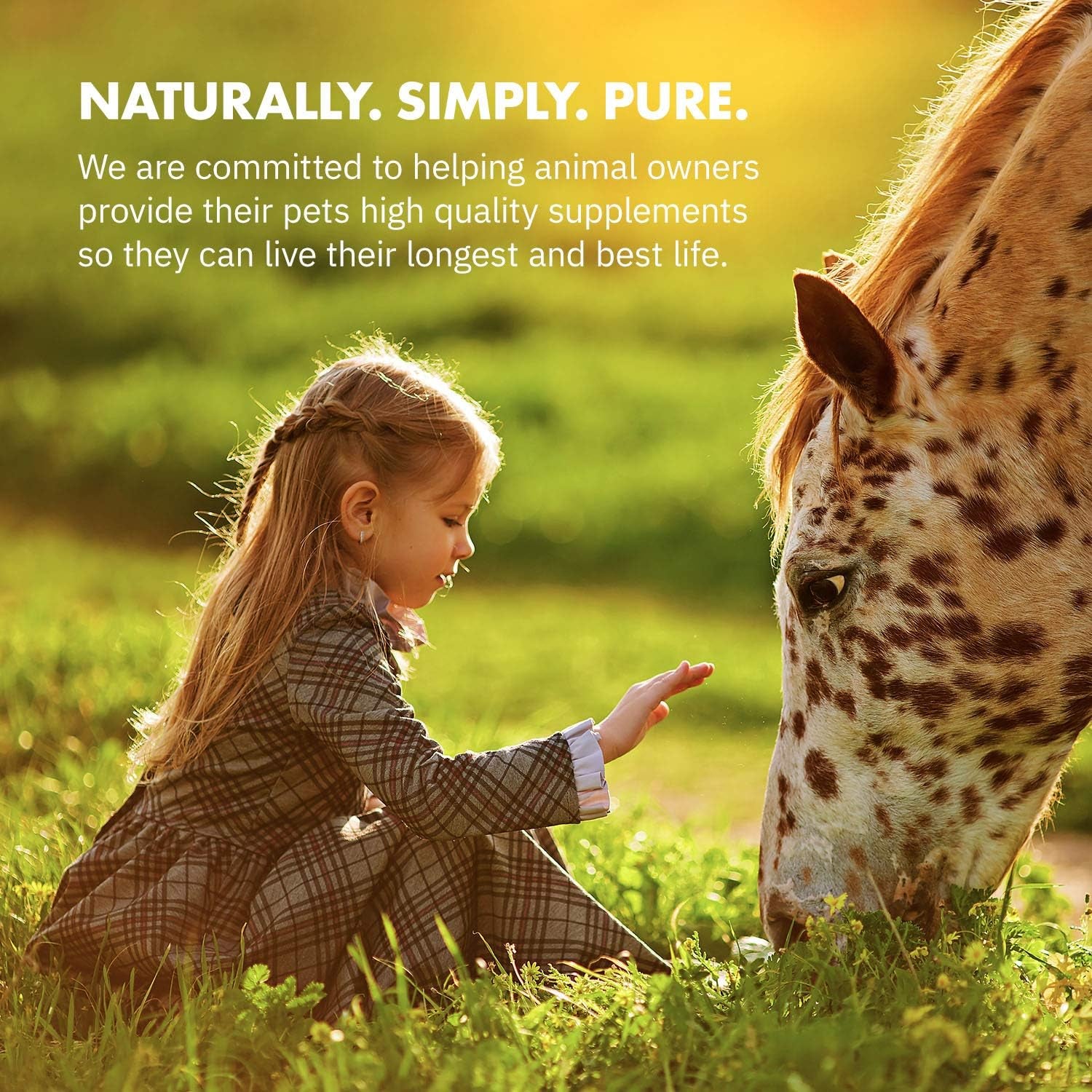 Healthygut™ Probiotics for Horses Dietary Supplement, All-Natural Digestive System Maintenance Formula (30 Days)