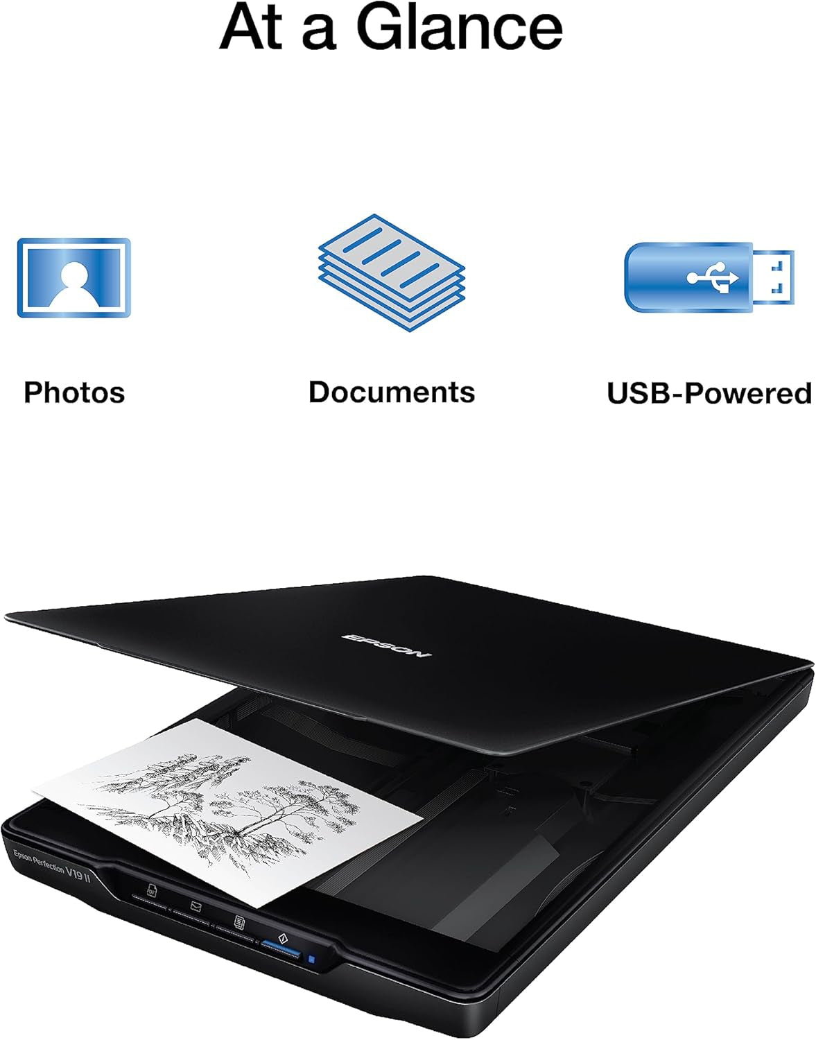 Epson Perfection V19 II Color Photo and Document Flatbed Scanner with 4800 Dpi Optical Resolution, USB Power and High-Rise, Removable Lid (Renewed)