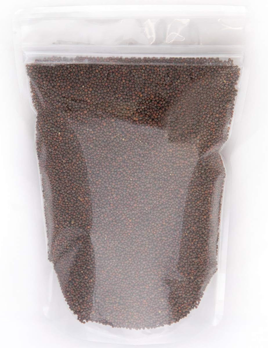 Broccoli Seeds for Sprouting & Microgreens | Waltham 29 Variety | Non GMO & Heirloom Seeds | Bulk 1 LB (16 Oz) Resealable Bag | Rainbow Heirloom Seed Co.