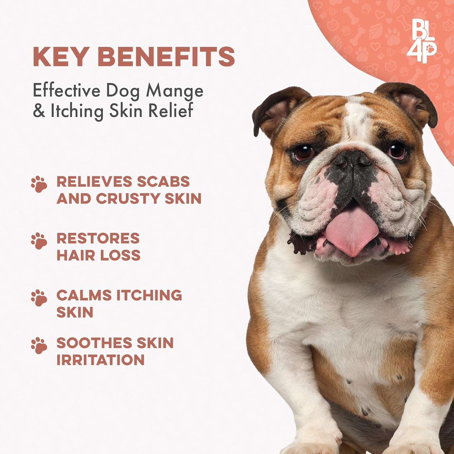 Mange Treatment for Dogs - Natural Dog Itching Skin Relief for Demodectic & Puppy Mange, Mites, Canine Scabies; Helps Dog Skin Irritation, Hot Spots, Hair Loss, and Dog Dandruff - 400 Odorless Pills