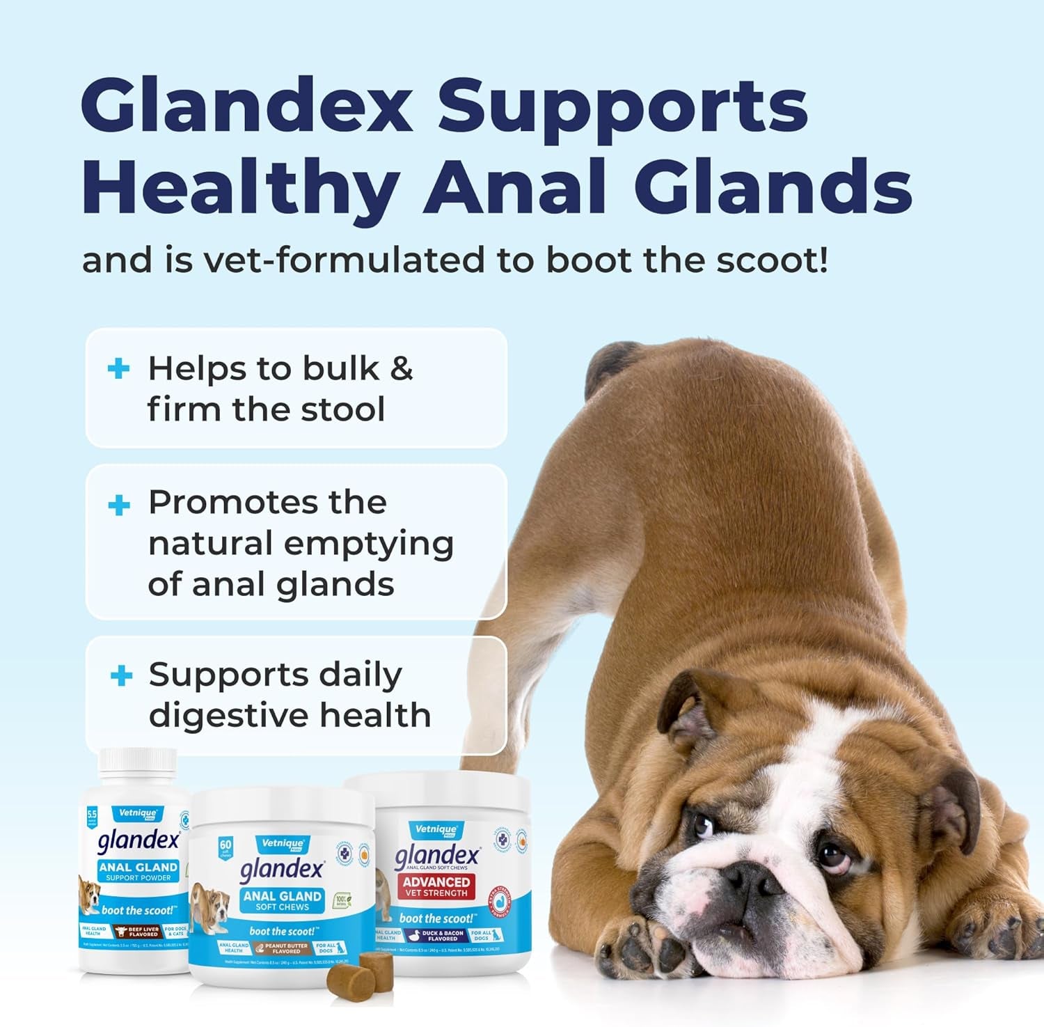 Glandex Anal Gland Soft Chew Treats with Pumpkin for Dogs Digestive Enzymes, Probiotics Fiber Supplement for Dogs Boot the Scoot (Peanut Butter Chews, 120Ct)