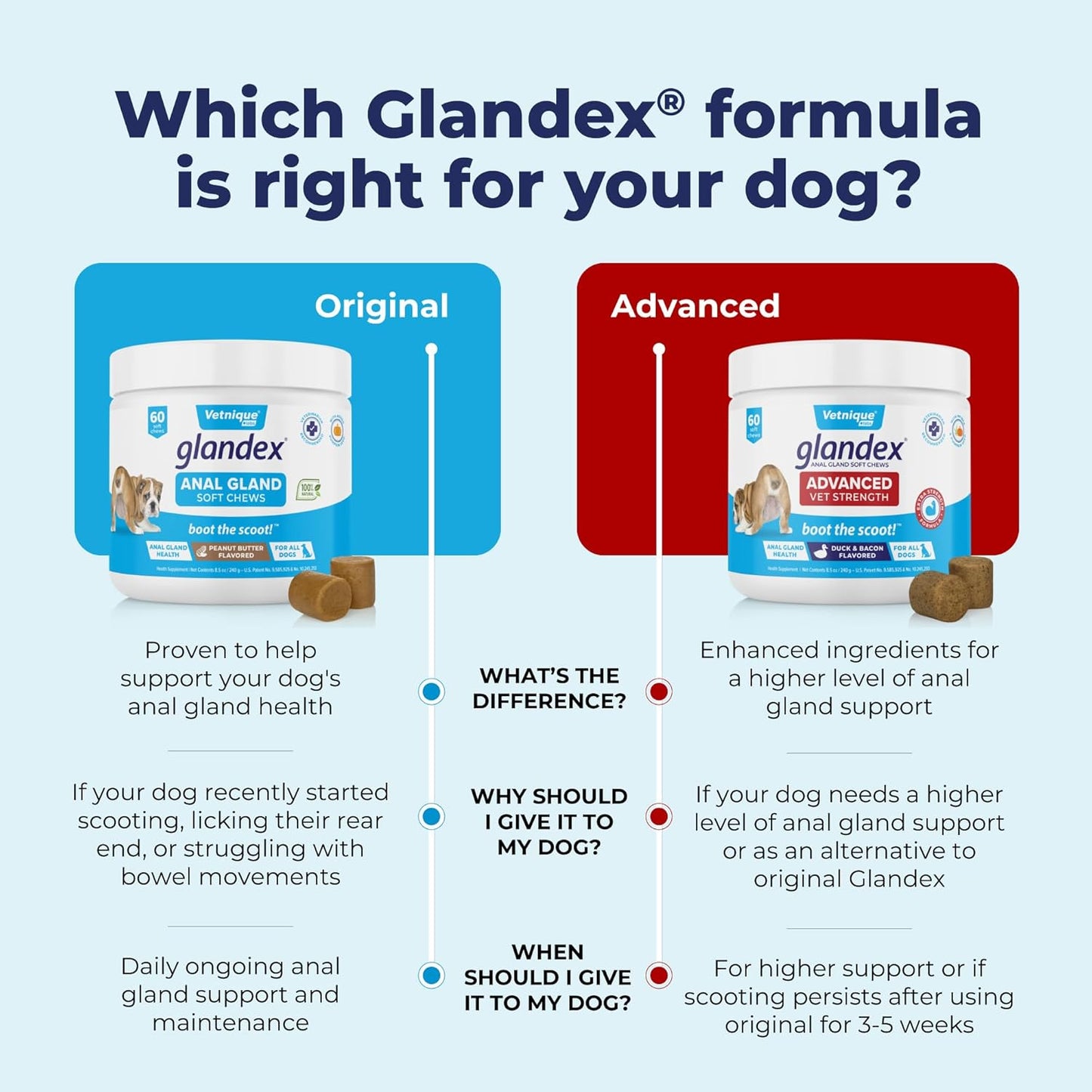 Glandex Anal Gland Soft Chew Treats with Pumpkin for Dogs Digestive Enzymes, Probiotics Fiber Supplement for Dogs Boot the Scoot (Peanut Butter Chews, 120Ct)