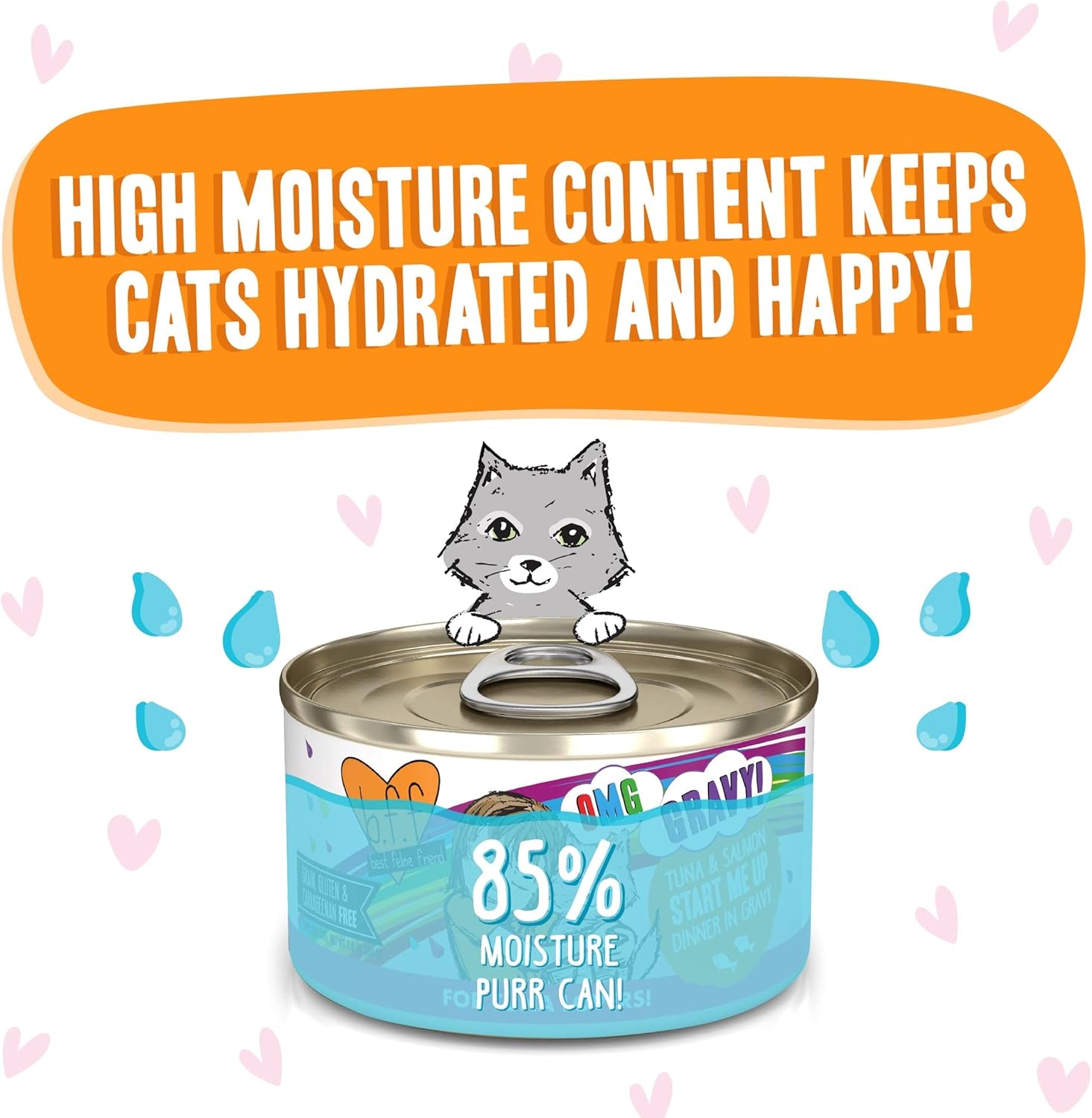 Weruva B.F.F. OMG - Best Feline Friend Oh My Gravy!, Tuna & Salmon Start Me up with Tuna & Salmon, 2.8Oz Can (Pack of 12)