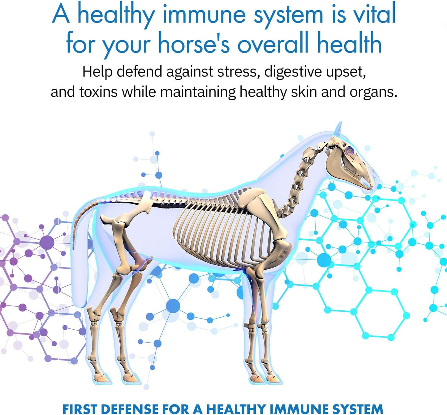 Healthygut™ Probiotics for Horses Dietary Supplement, All-Natural Digestive System Maintenance Formula (30 Days)