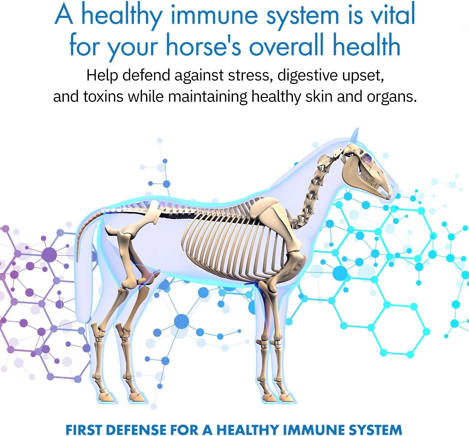 Healthygut™ Probiotics for Horses Dietary Supplement, All-Natural Digestive System Maintenance Formula (30 Days)