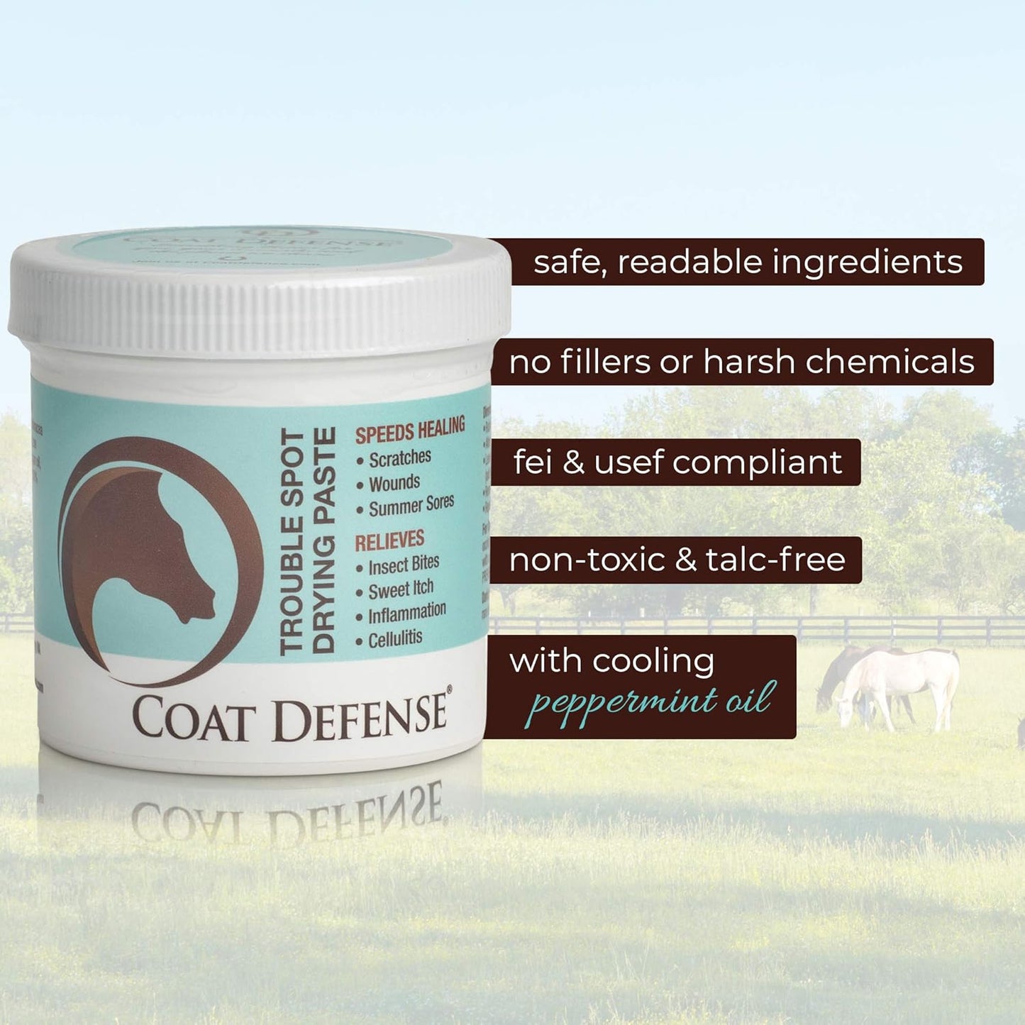 COAT DEFENSE Trouble Spot Drying Paste for Horses - Natural Equine Wound Care That Provides Safe & Effective Relief from Scratches, Sweet Itch, Summer Sores, Proud Flesh, Mud Fever, Girth Rot (24 Oz)