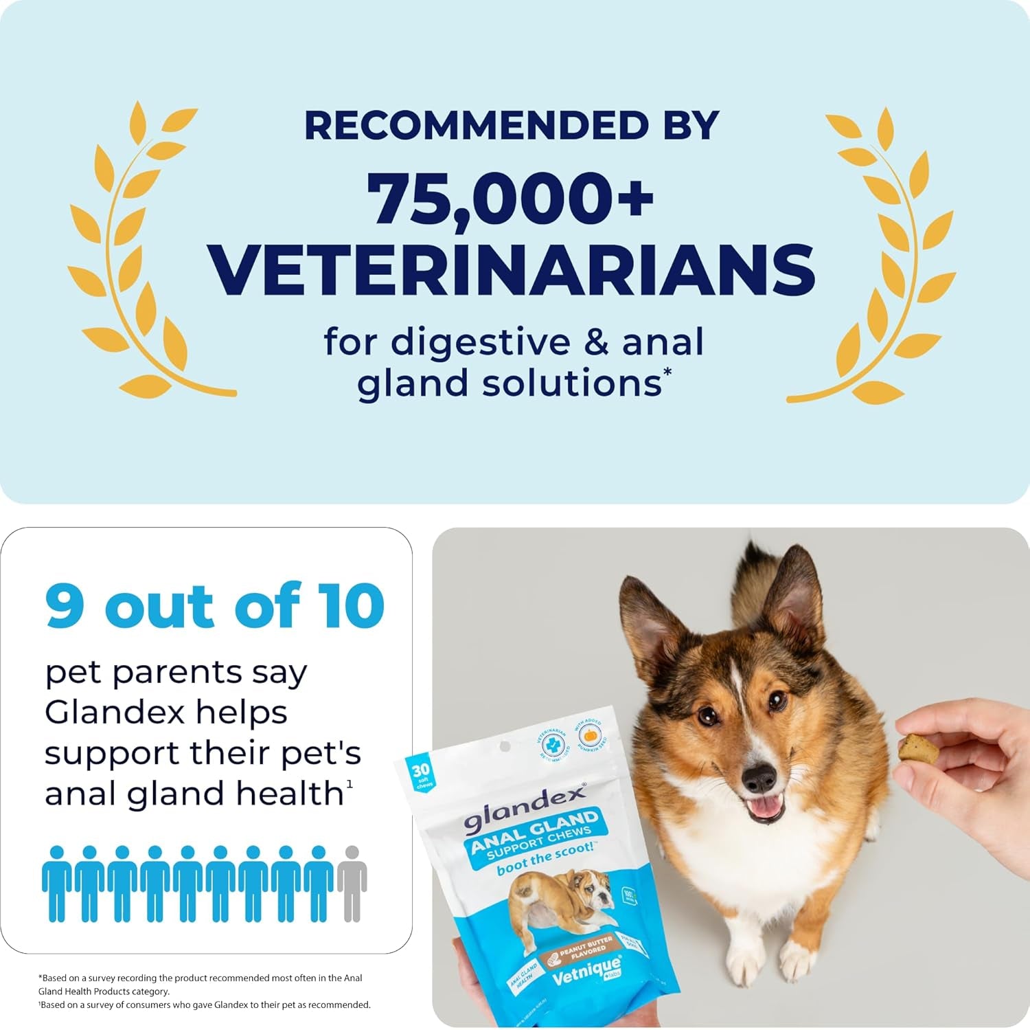 Glandex Anal Gland Soft Chew Treats with Pumpkin for Dogs Digestive Enzymes, Probiotics Fiber Supplement for Dogs Boot the Scoot (Peanut Butter Chews, 120Ct)