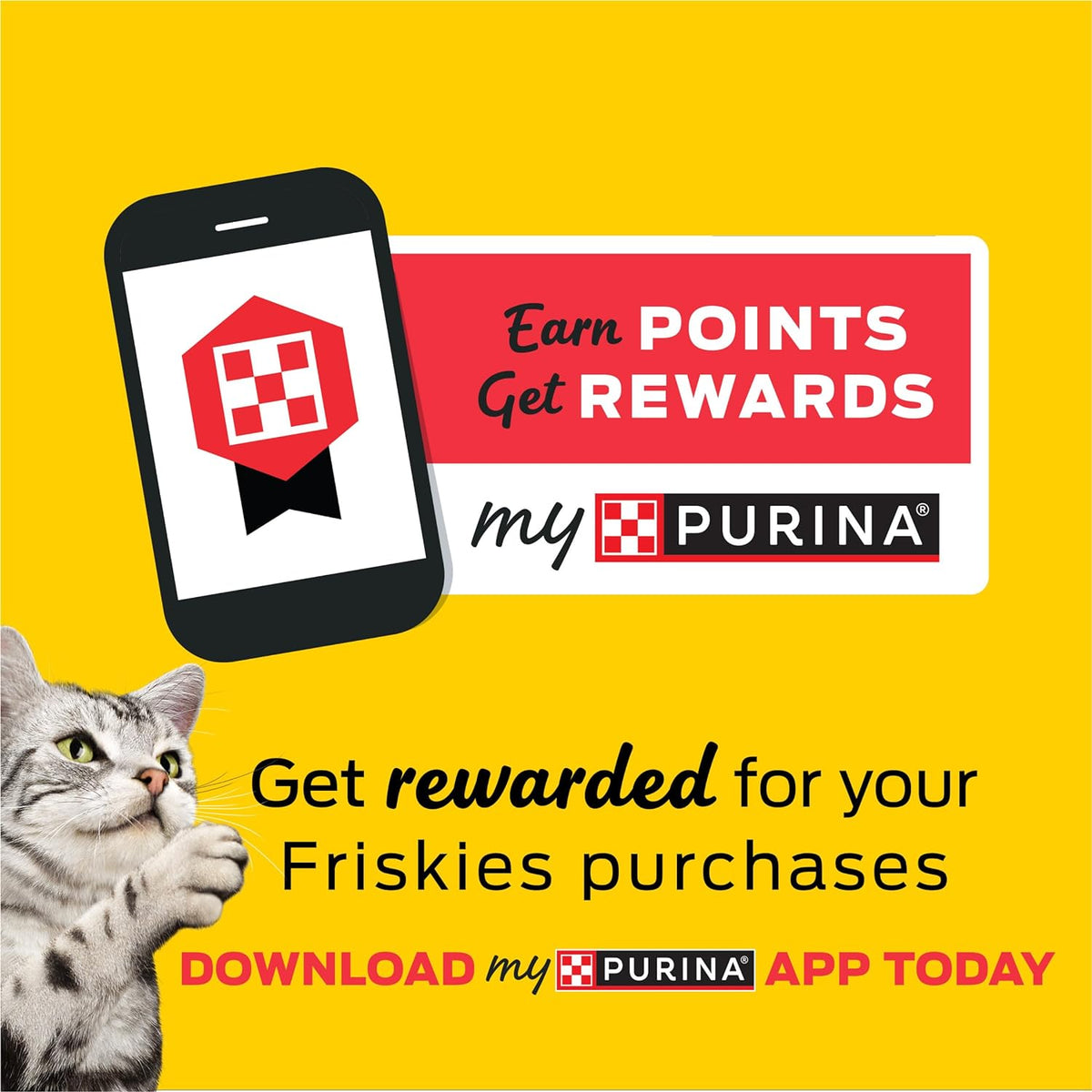 Purina Friskies Gravy Wet Cat Food Variety Pack, Tasty Treasures Prime Filets - 5.5 Ounce (Pack of 12)