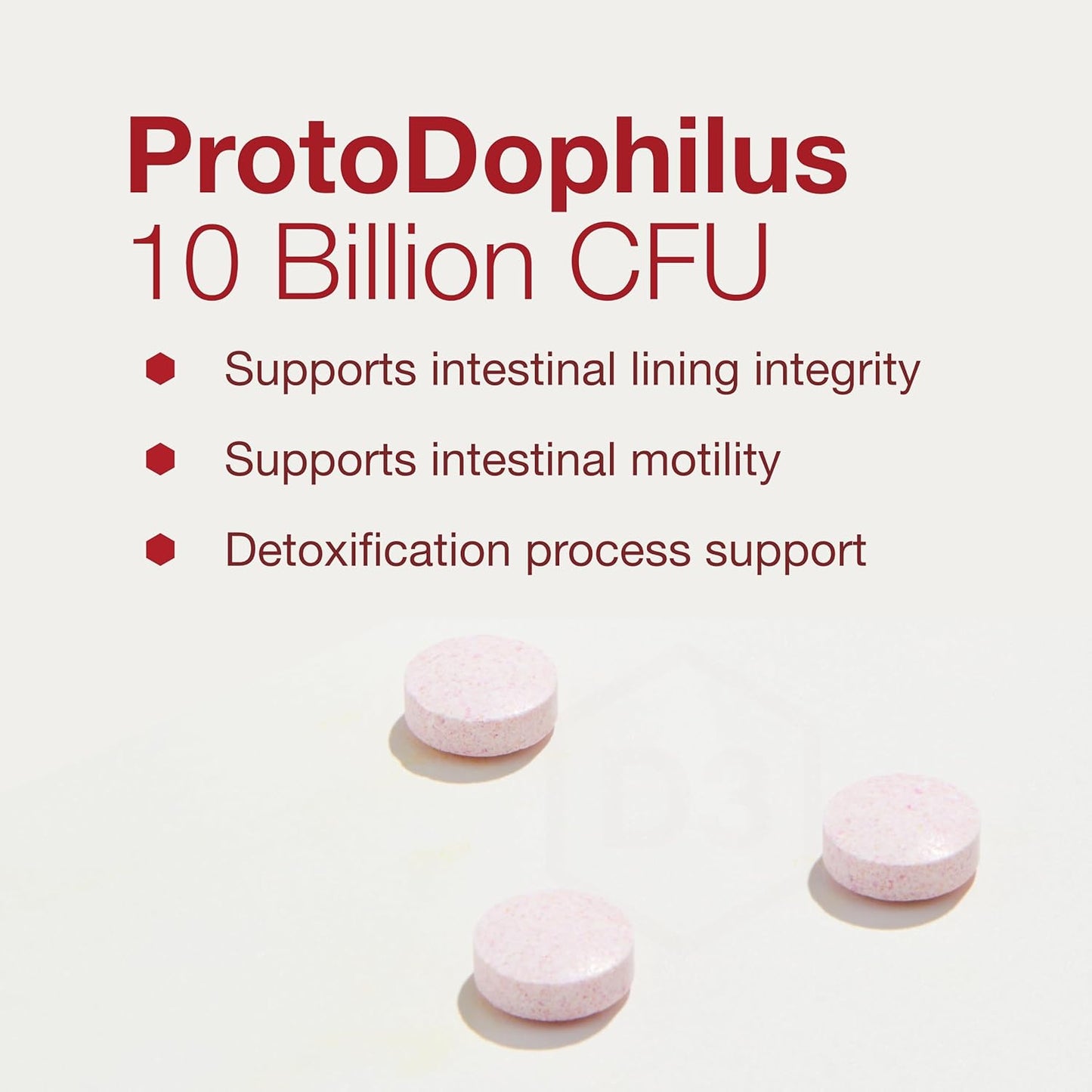 Protocol Chewable Protodophilus - 10 Billion CFU Probiotic - Chewable Tablet for Adults & Kids - for Digestive Health, Detox & Cleanse* - Vegan & Halal - 60 Chewables