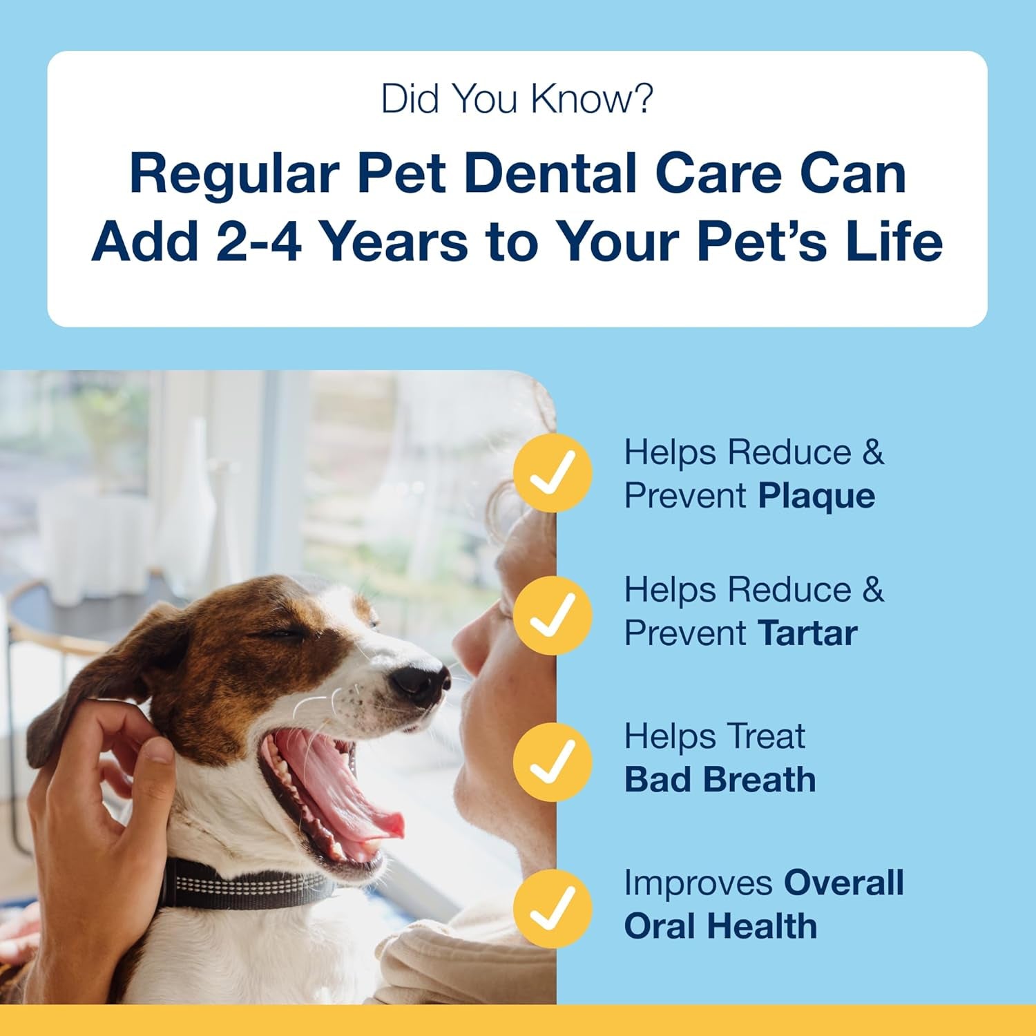 Proden Plaqueoff Powder for Dogs & Cats - Pet Dental Care Supplement for Teeth Cleaning & Oral Health - Dog Breath Freshener & Plaque Remover - 180 G