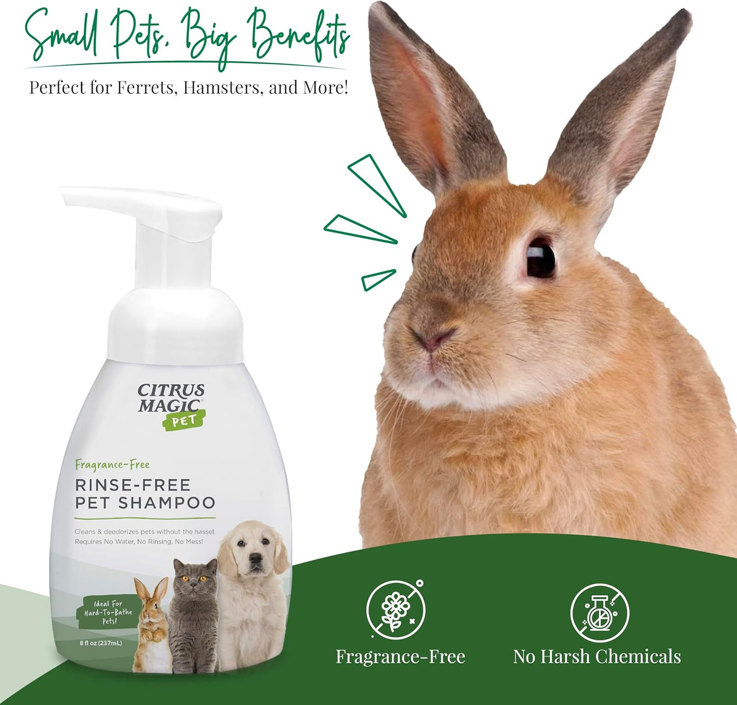Citrus Magic Pet Rinse-Free Pet Shampoo, 8-Fluid Ounce