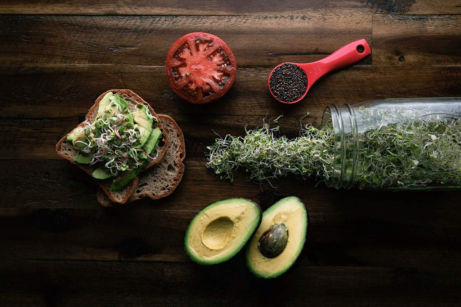 Broccoli Seeds for Sprouting & Microgreens | Waltham 29 Variety | Non GMO & Heirloom Seeds | Bulk 1 LB (16 Oz) Resealable Bag | Rainbow Heirloom Seed Co.