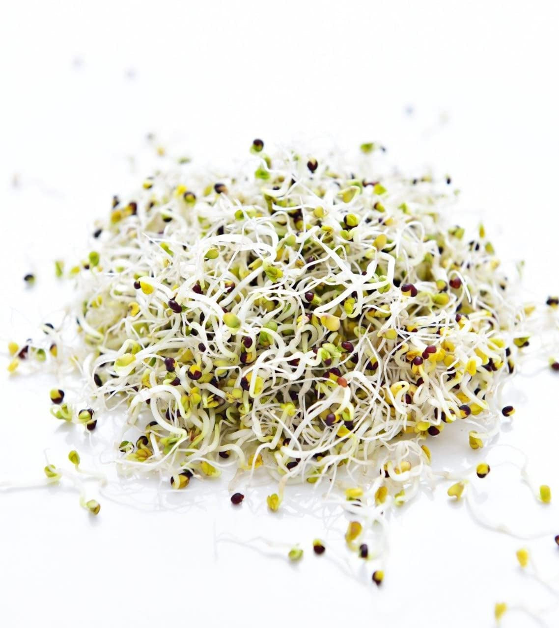 Todd’S Seeds - Calabrese Broccoli Sprouting Seeds, 1 Lb - High in Sulforaphane, Non-Gmo, Heirloom Variety - Bulk Seeds for Nutrient-Rich Sprouts & Home Gardening (Chemical Free - Better than Organic!)