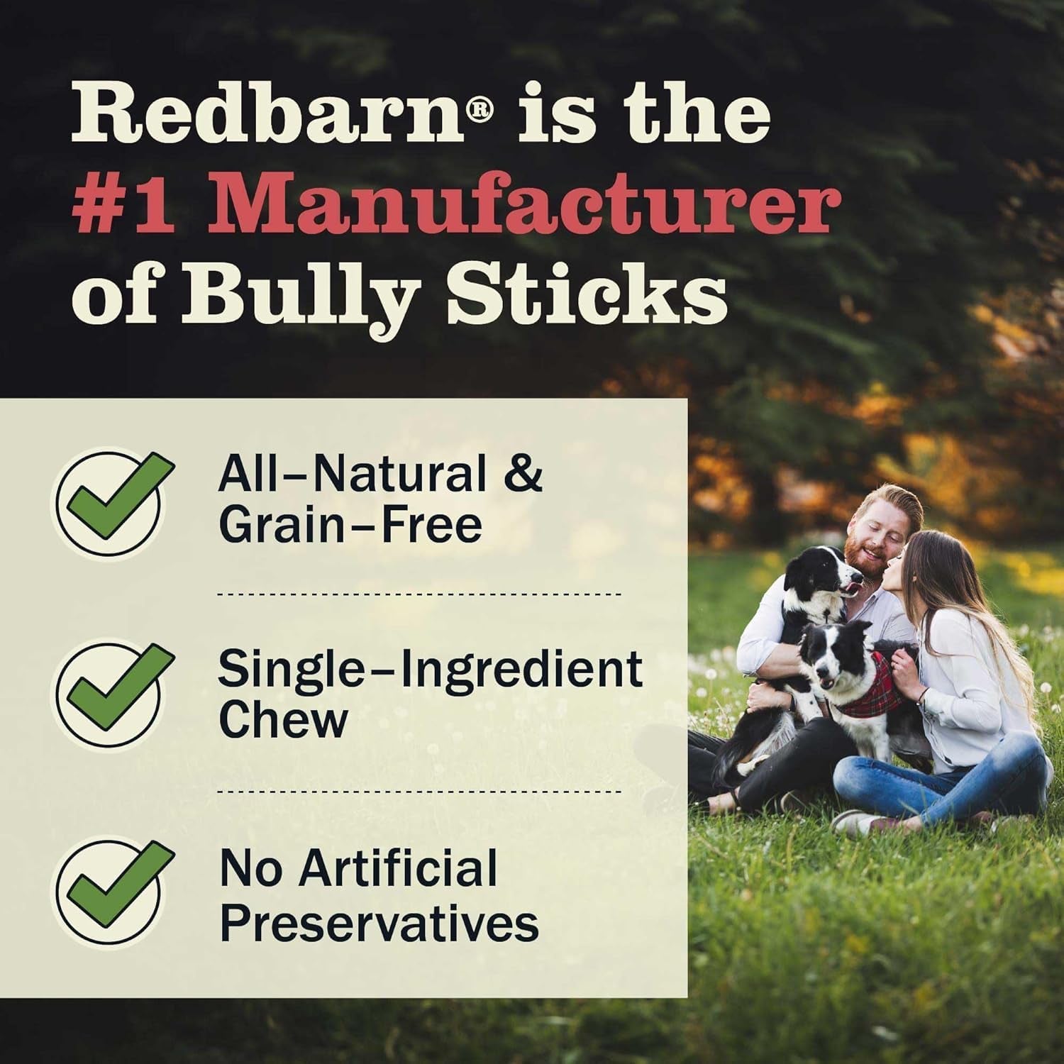 Redbarn 12" Bully Sticks for Dogs (Case of 35)