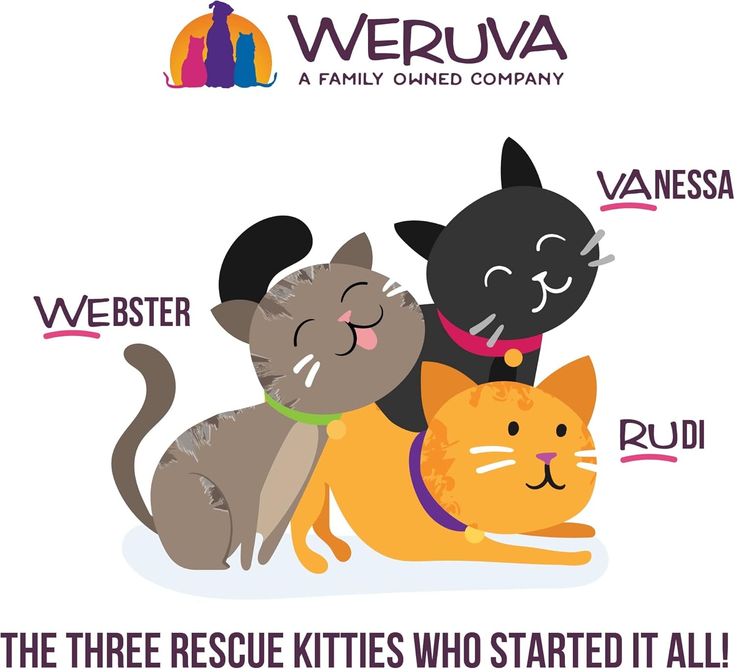 Weruva B.F.F. OMG - Best Feline Friend Oh My Gravy!, Tuna & Salmon Start Me up with Tuna & Salmon, 2.8Oz Can (Pack of 12)