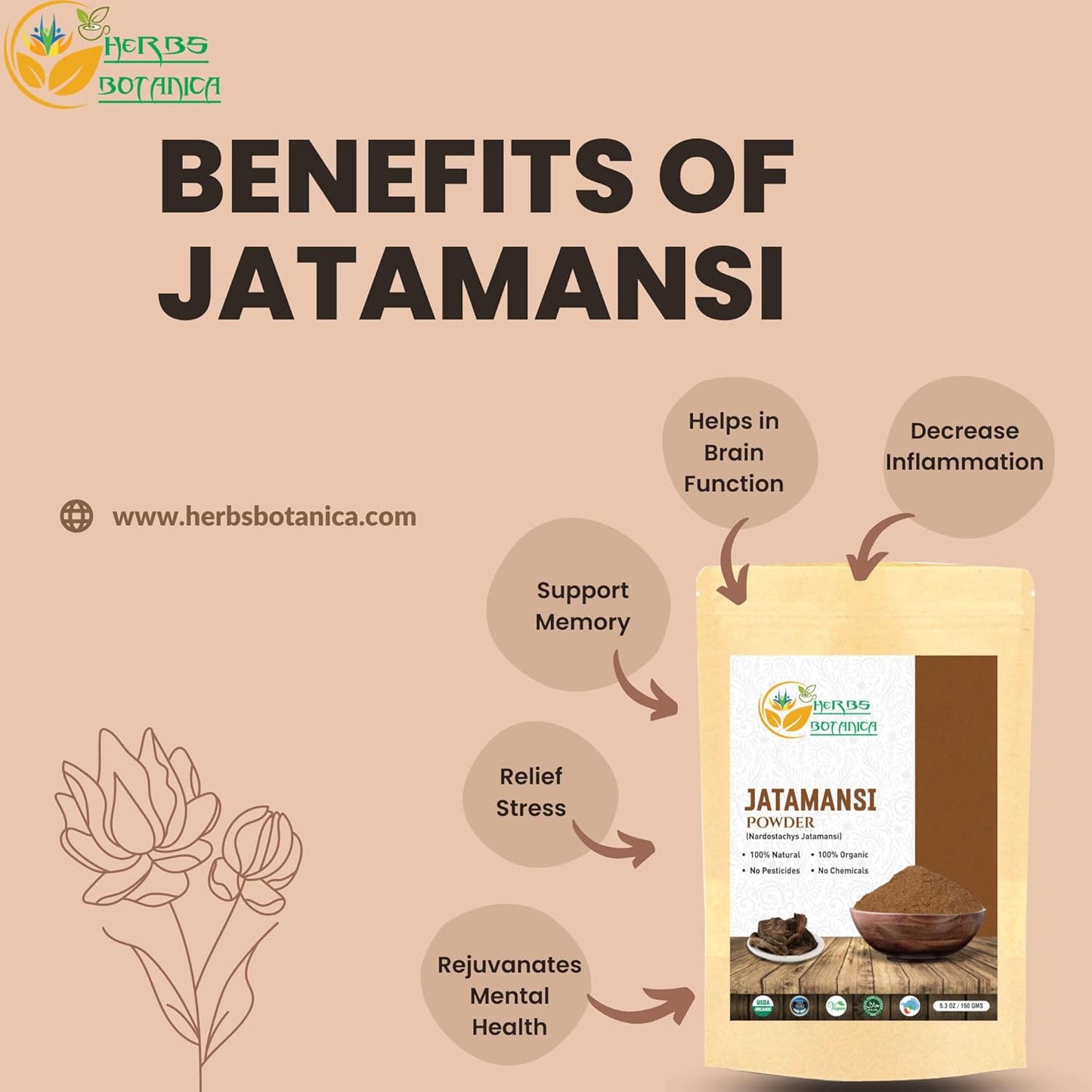 Herbs Botanica Jatamansi Root Powder Organic Nardostachys Jatamansi for Hair Growth Spikenard Stress Relief Formulation Natural Rhizome 5.3 Ounce / 150 Gms