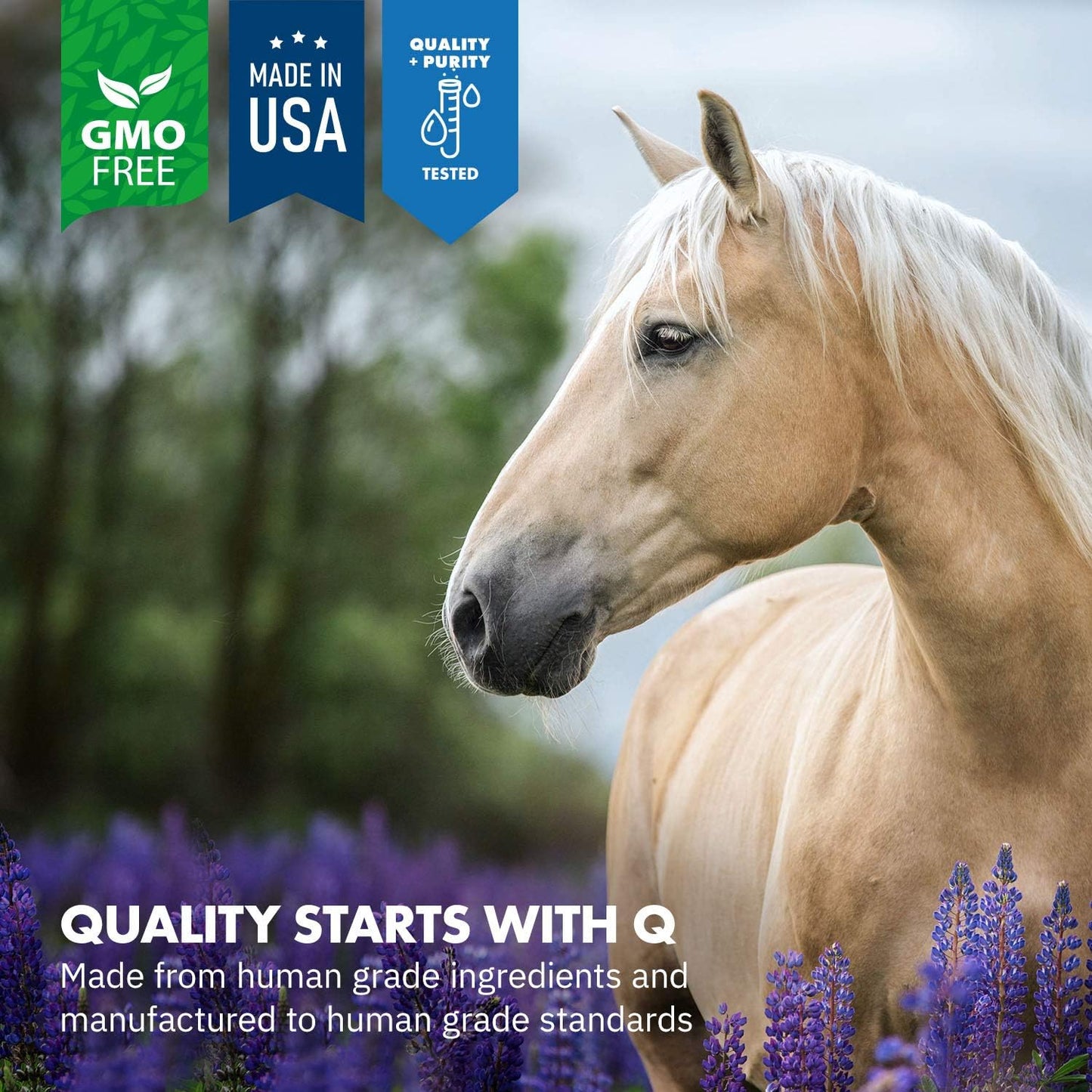 Healthygut™ Probiotics for Horses Dietary Supplement, All-Natural Digestive System Maintenance Formula (30 Days)