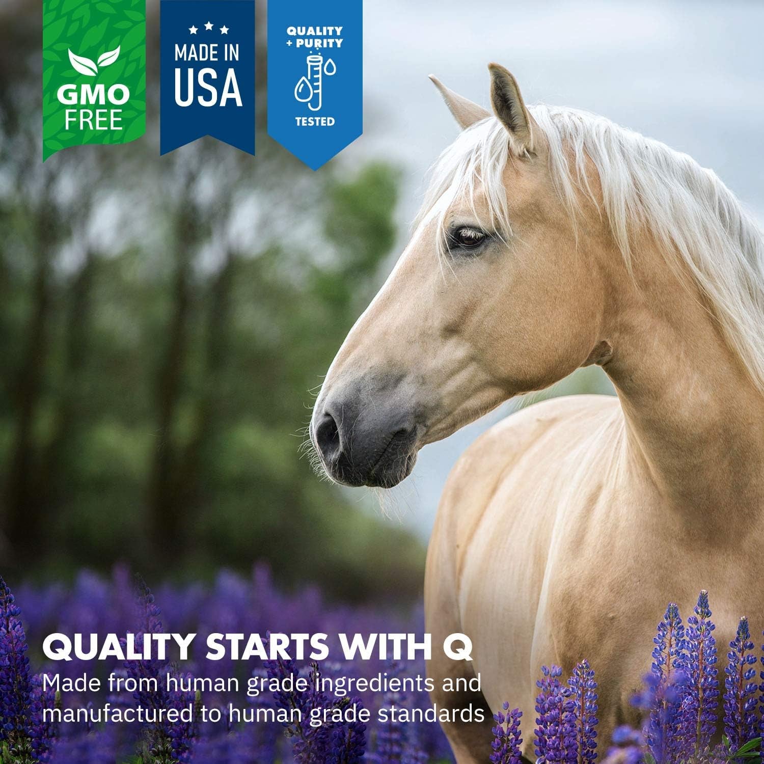 Healthygut™ Probiotics for Horses Dietary Supplement, All-Natural Digestive System Maintenance Formula (30 Days)
