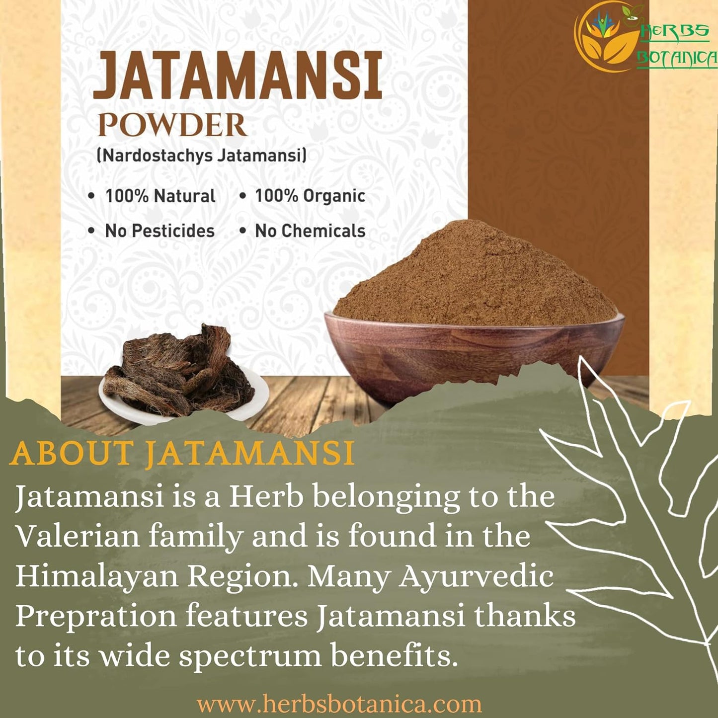 Herbs Botanica Jatamansi Root Powder Organic Nardostachys Jatamansi for Hair Growth Spikenard Stress Relief Formulation Natural Rhizome 5.3 Ounce / 150 Gms