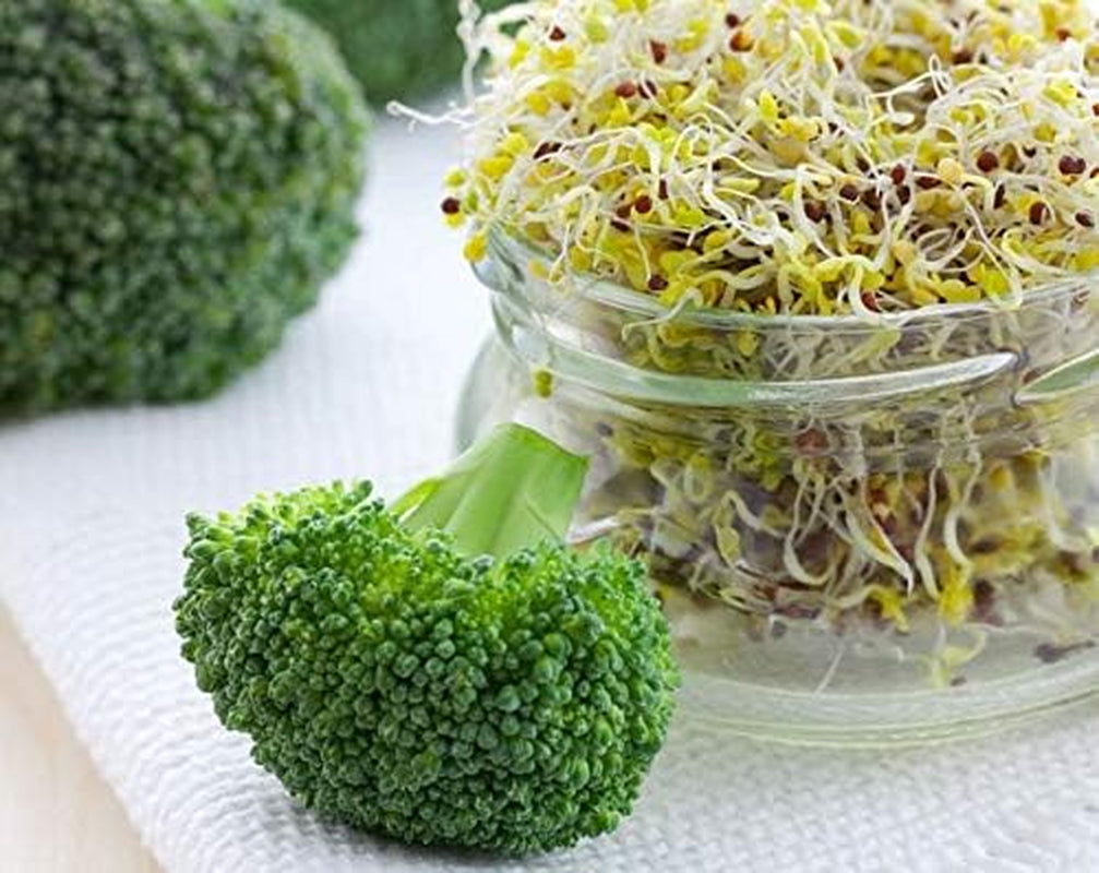 Food to Live Broccoli Seeds for Sprouting, 2.5 Pounds – Vegan, Kosher, Sirtfood, Bulk. Rich in Sulforaphane, Vitamin C, Vitamin A. Great for Growing Sprouts, Microgreens. High Germination Rate