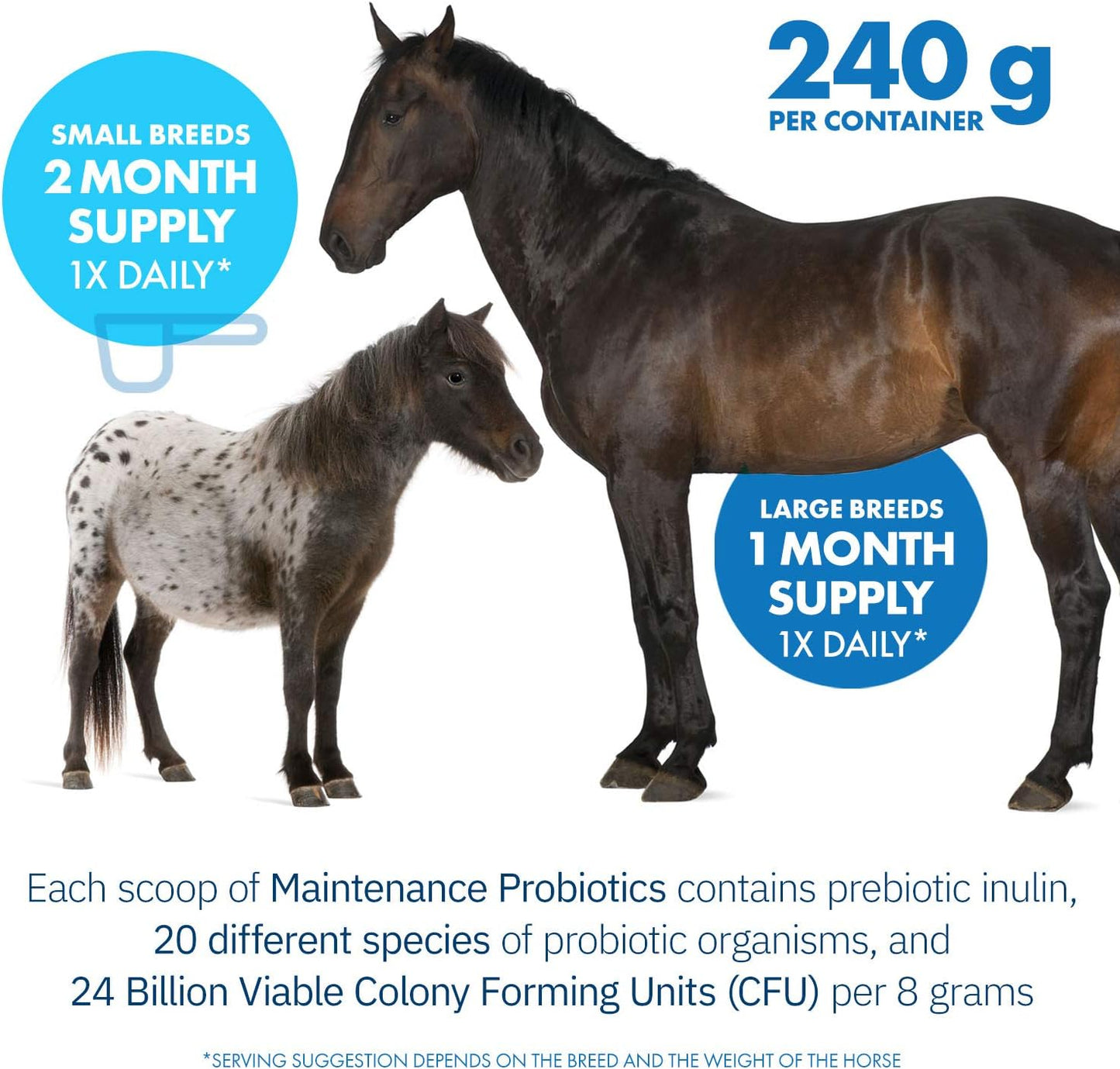 Healthygut™ Probiotics for Horses Dietary Supplement, All-Natural Digestive System Maintenance Formula (30 Days)