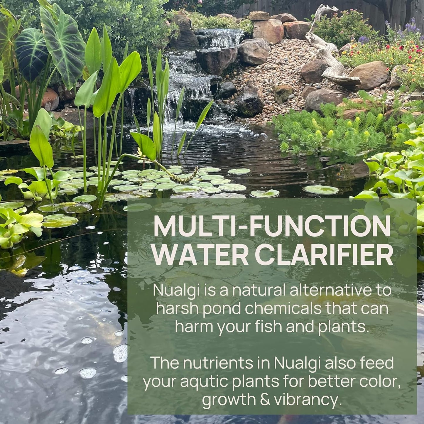 Natural Pond Cleaner, 60Ml, Clarifier for Fish Ponds, Safe for All Aquatic Life Including Koi, Pond Water Clarifier Treats up to 60,000 Gallons