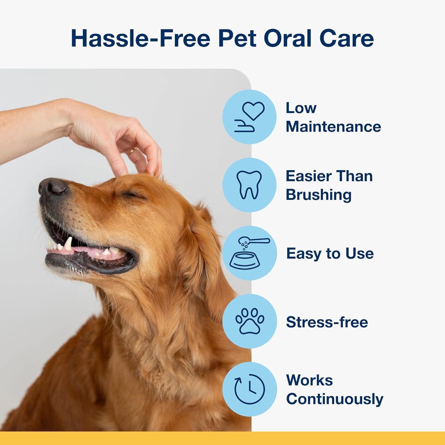 Proden Plaqueoff Powder for Dogs & Cats - Pet Dental Care Supplement for Teeth Cleaning & Oral Health - Dog Breath Freshener & Plaque Remover - 180 G