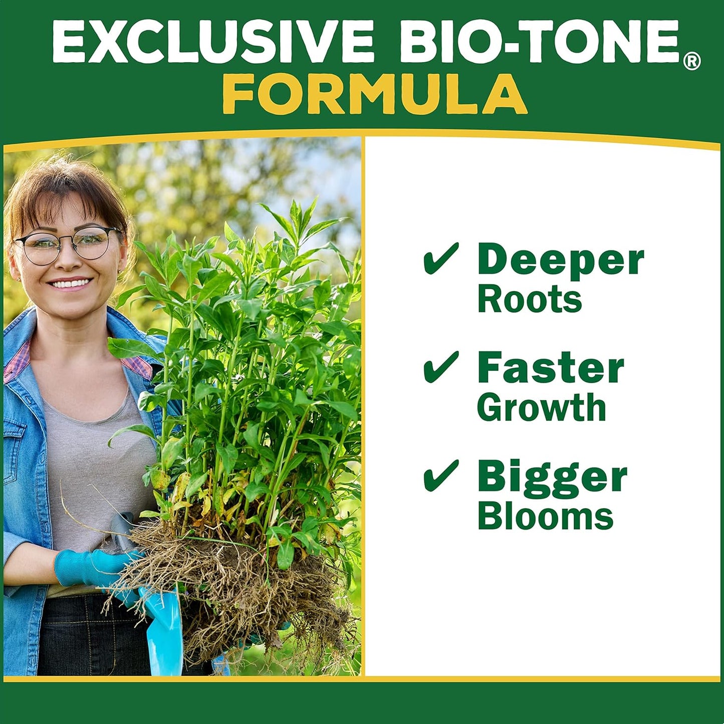 Espoma Organic Plant-Tone 5-3-3 Natural & Organic All Purpose Plant Food; 4 Lb. Bag; the Original Organic Fertilizer for All Flowers, Vegetables, Trees, and Shrubs. Pack of 3