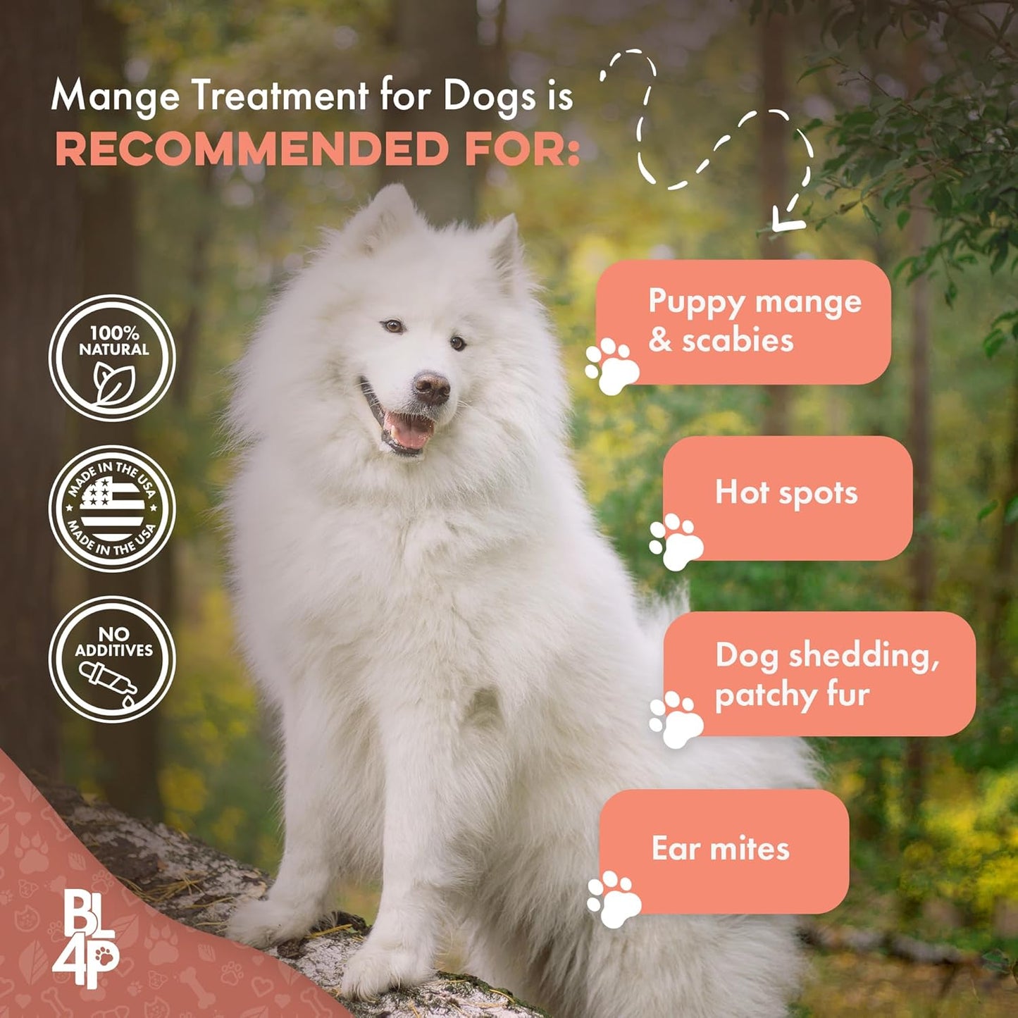 Mange Treatment for Dogs - Natural Dog Itching Skin Relief for Demodectic & Puppy Mange, Mites, Canine Scabies; Helps Dog Skin Irritation, Hot Spots, Hair Loss, and Dog Dandruff - 400 Odorless Pills