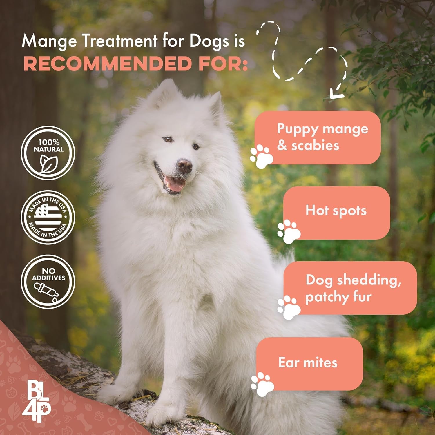 Mange Treatment for Dogs - Natural Dog Itching Skin Relief for Demodectic & Puppy Mange, Mites, Canine Scabies; Helps Dog Skin Irritation, Hot Spots, Hair Loss, and Dog Dandruff - 400 Odorless Pills