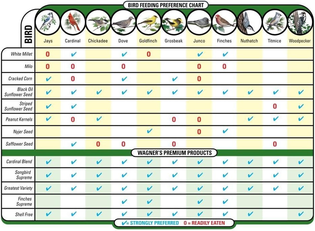 Wagner'S 57075 Safflower Seed Wild Bird Food, 5 Pound (Pack of 1)