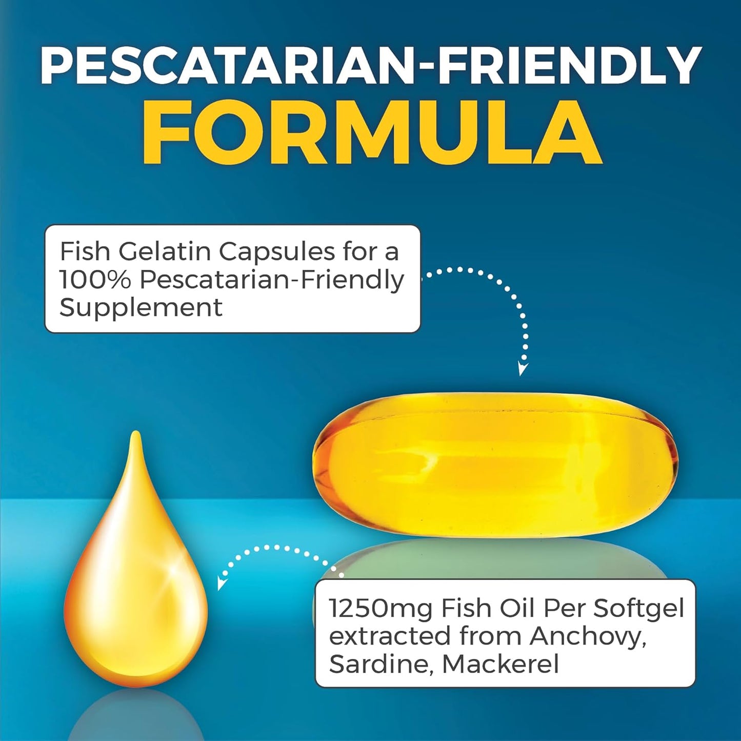 Fish Oil Omega 3 Supplement - 2500 Mg Fish Oil with Re-Esterified Omega 3 Fatty Acid Supplement Including EPA, DHA DPA - 90 Pescatarian-Friendly Softgels