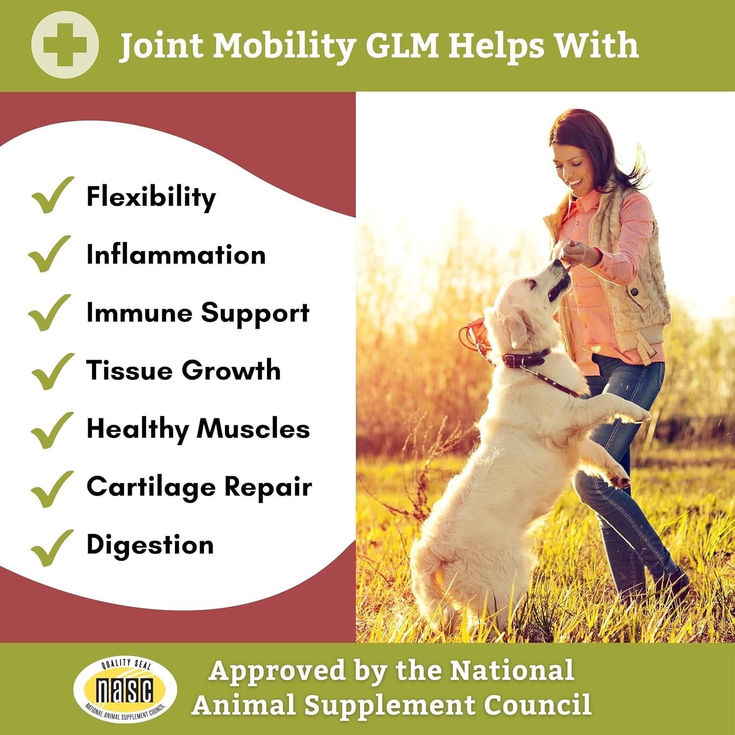 Wholistic Pet Organics Joint Supplement: Joint Mobility with Green Lipped Mussel Daily Joint Health Supplements for Dogs - Dog Glucosamine Powder with MSM, Probiotics, Vitamins, Minerals - 4 Lb