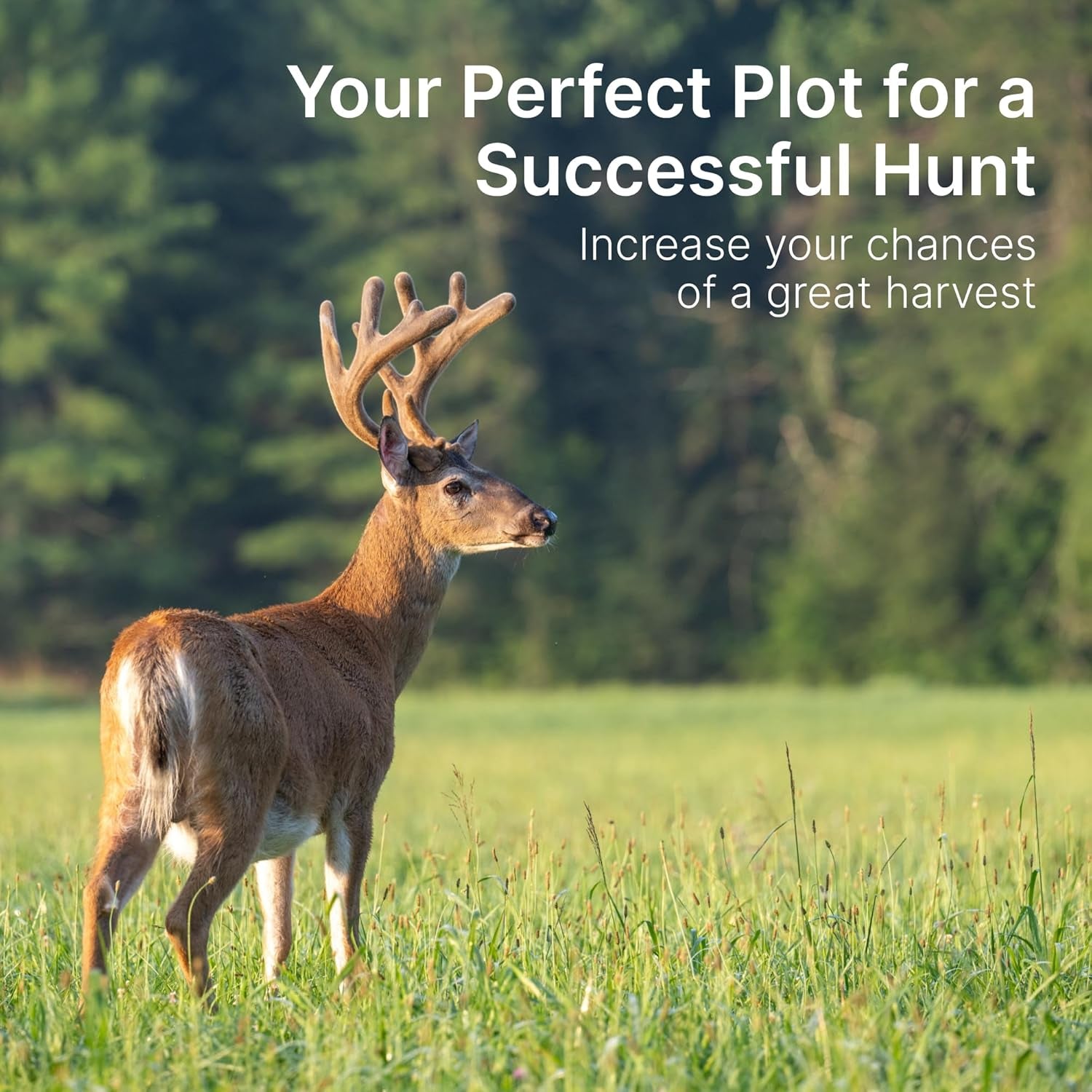 Hit List Seed® No Till Food Plot Seeds for Deer [Annual Mix] - Throw and Grow Food Plot Seed - Deer Plot Seed Mix - Clover, Rye, Turnip, Brassica, Oats - No Plow Food Plot Seed for Deer - 5 Lbs