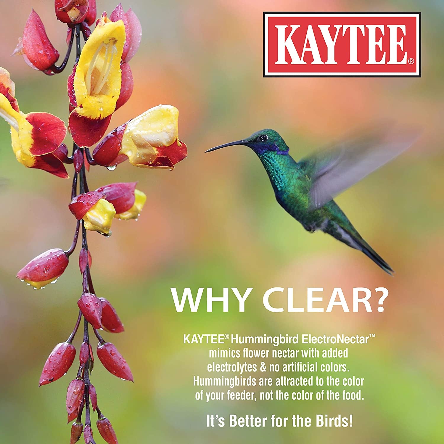 Kaytee Hummingbird Electronectar Wild Bird Food, Ready to Use, 64 Ounces