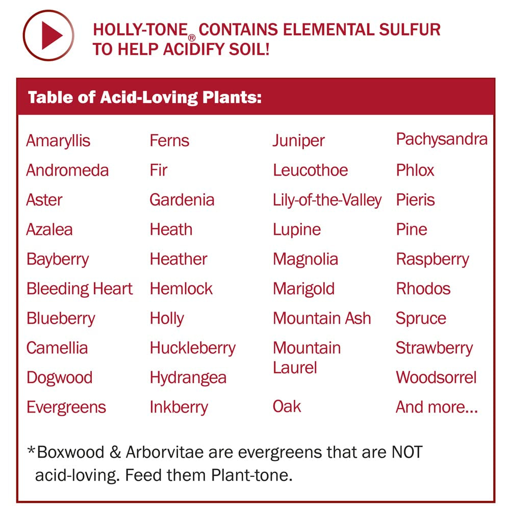 Espoma Organic Holly-Tone 4-3-4 Evergreen & Azalea Plant Food; 4 Lb. Bag; the Original & Best Organic Fertilizer for All Acid Loving Plants Including Azaleas, Rhododendrons & Hydrangeas. Pack of 2